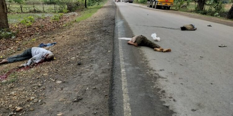 Korba Breaking – रफ्तार का कहर 3 की मौत : तेज रफ्तार बाइक मवेशी से टकरायी, एक ही परिवार के तीन लोगों की दर्दनाक मौत