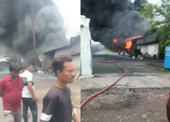 CG Breaking : डामर प्लांट में भीषण आग, करोड़ों के नुकसान की आशंका, दमकल की टीम मौके पर…
