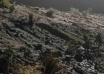 Korba Breaking : तेज बारिश में फूटा CSEB का राखड़ बांध, गांव में राखड़ घुसने पर घर छोड़कर भागे लोग, राहत और बचाव कार्य में जुटी प्रशासन