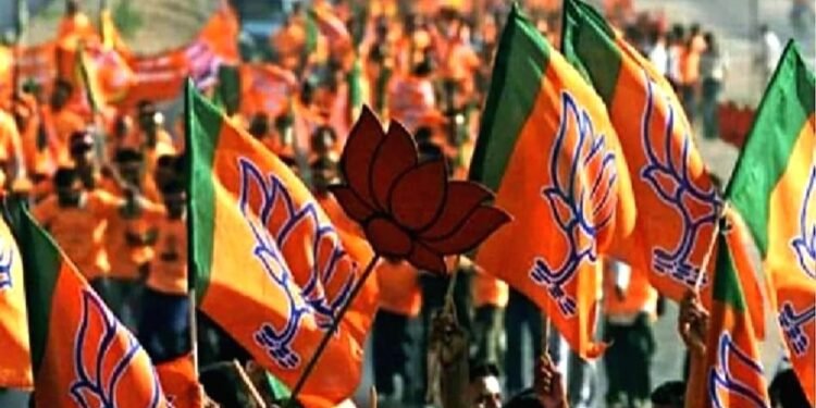 भाजपा विधायक पर हत्या का आरोप, रियल एस्टेट एजेंट को उसकी मां के सामने उतारा गया मौत के घाट, FIR दर्ज