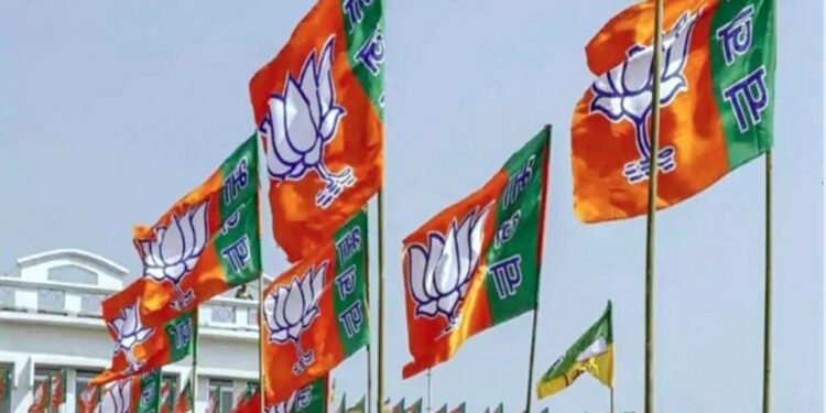 भाजपा के नए अध्यक्ष के नाम का ऐलान, 10 नए सचिवों की भी नियुक्ति, देखिए नए टीम की सूची