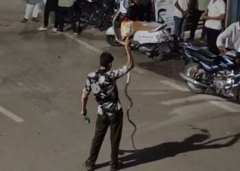 Viral Video : नशे में धुत युवक का सांप संग खतरनाक खेल, बीच सड़क में कर रहा था ये काम, देखे वायरल वीडियो