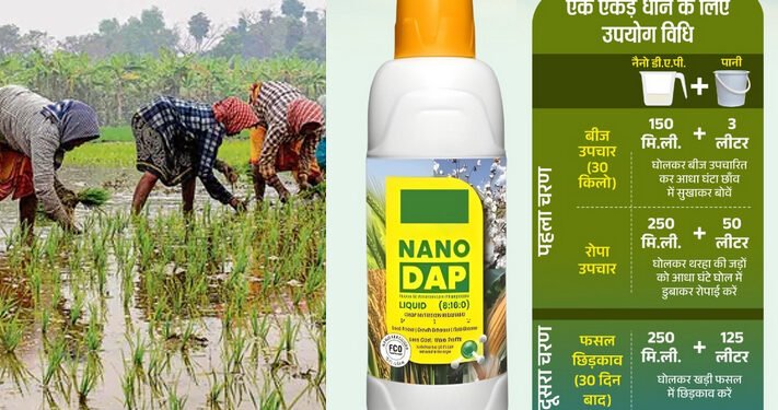 CG : नैनो डीएपी किसानों के लिए ठोस डीएपी उर्वरक का स्मार्ट विकल्प, कृषि वैज्ञानिकों ने बतायी उपयोग की विधि