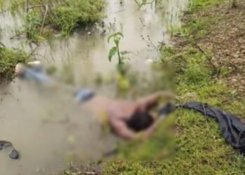 CG News : सड़क किनारे मिली पूर्व सरपंच के बेटे की लाश, मचा हड़कंप