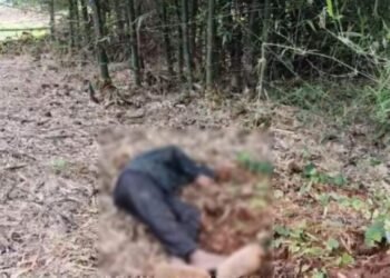 CG BREAKING : चाकू मारकर युवक की हत्या, दूसरा युवक घायल, आरोपी फरार तलाश जारी