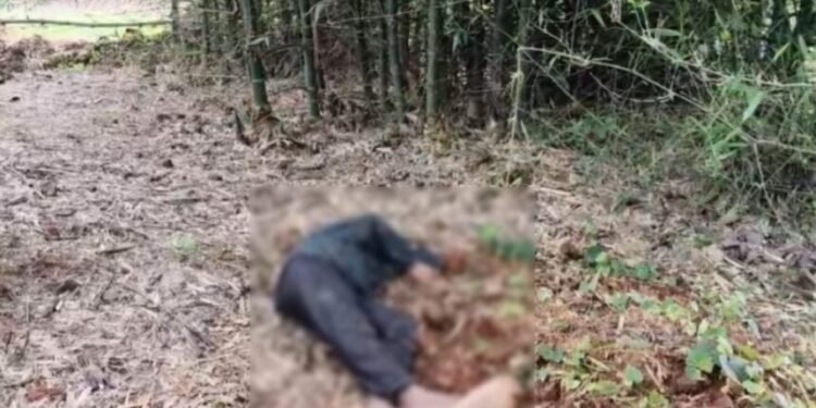 CG BREAKING : चाकू मारकर युवक की हत्या, दूसरा युवक घायल, आरोपी फरार तलाश जारी