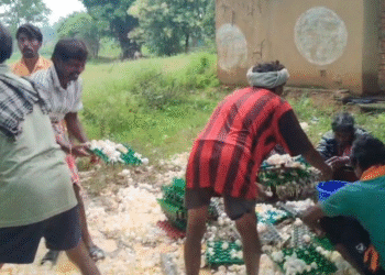 CG : अंडों से भरी पिकअप पलटी, लूटने उमड़ी लोगों की भीड़, बाल्टी – थैलों में भर ले गए अंडे, Viral हो रहा Video …