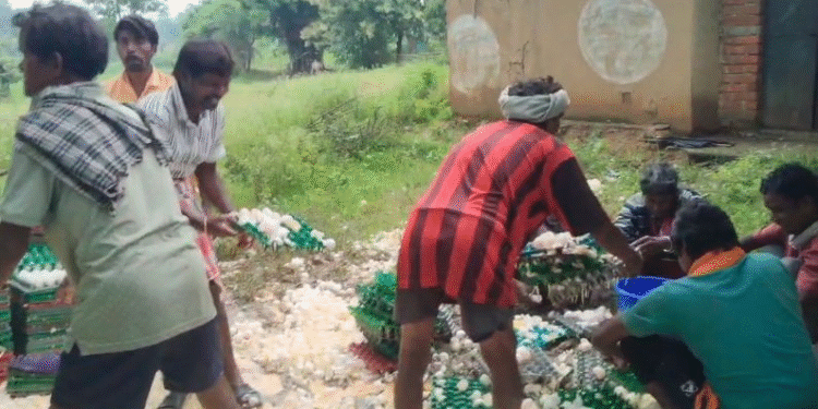 CG : अंडों से भरी पिकअप पलटी, लूटने उमड़ी लोगों की भीड़, बाल्टी – थैलों में भर ले गए अंडे, Viral हो रहा Video …