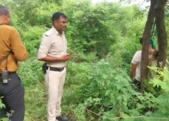 पहाड़ी पर पेड़ से लटकी मिली युवक – युवती की लाश, हत्या या आत्महत्या जांच मे जुटी पुलिस