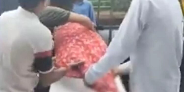 CG : झोलाछाप डॉक्टर के इंजेक्शन लगाते ही 12 साल के बच्चे के मुंह से निकलने लगा झाग, कुछ ही देर में थम गई सांसें