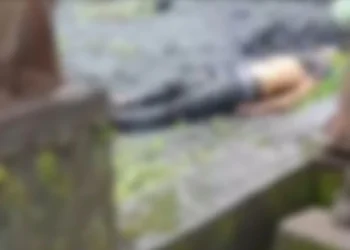 CG News : HTPS में कॉन्ट्रैक्ट वर्कर की कन्वेयर बेल्ट से गिरकर मौत