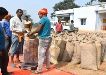 CG Breaking : किसानों के लिए बड़ी खुशखबरी, नवंबर से शुरू होगी धान की खरीदी, ​जानिए कब से कटेगा टोकन
