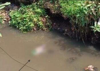 CG NEWS : नाले में नवजात शिशु के शव मिलने से मचा हड़कंप, जांच में जुटी पुलिस