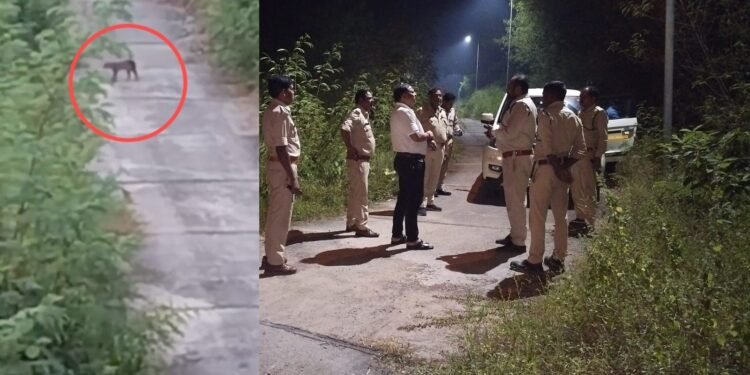 Viral Video : प्लांट में दिखा तेंदुआ, इलाके में दहशत का माहौल वन विभाग अलर्ट देखे पूरा वीडियो