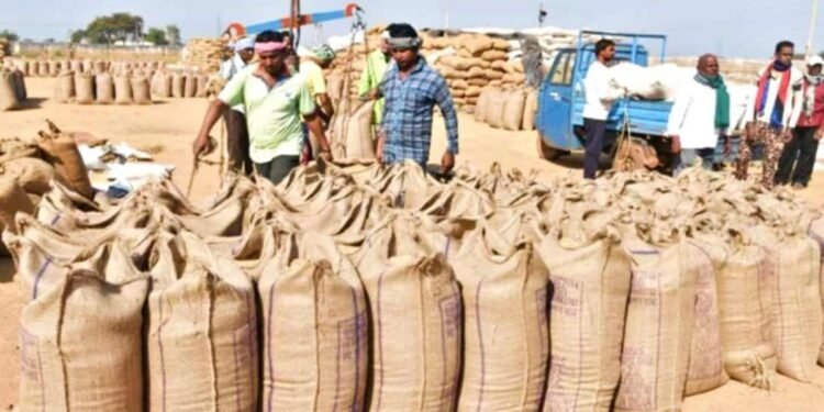 छत्तीसगढ़ के किसानों के लिए जरूरी खबर, धान बेचने के लिए इस पोर्ट्ल पर कराना होगा पंजीयन, जानिए कब है आखिरी तारीख