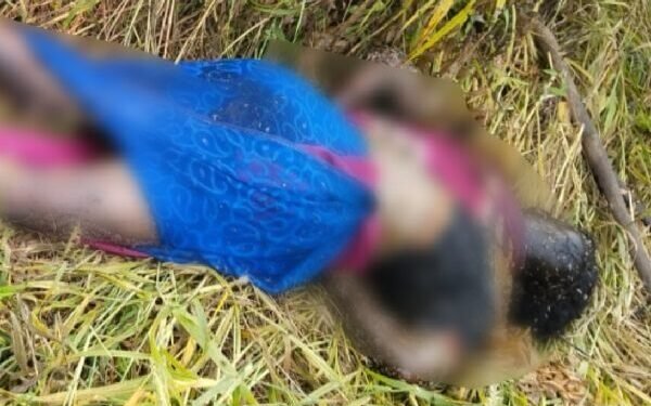 CG Crime : दो दिन पहले से लापता महिला की जंगल में मिली सड़ी – गली लाश, पूरे क्षेत्र में फैली सनसनी का माहौल