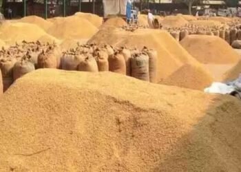 CG : धान खरीदी के लिए ‘तुहर टोकन मोबाइल एप’ प्रारंभ, किसानों को मिलेगी घर बैठे टोकन सुविधा, समितियों में लंबी कतारों से मिलेगी मुक्ति