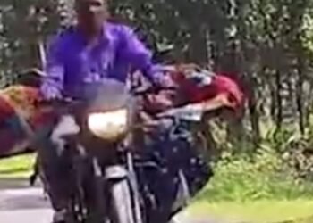 CG Viral Video : कैंसर पीड़ित पत्नी को बाइक पर लिटाकर भटक रहा किसान …VIDEO हुआ वायरल सरकार से मांगी मदद