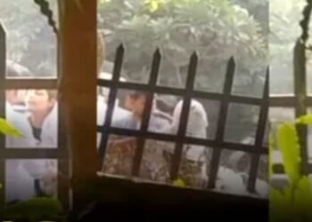 Viral Video : प्रेमी और प्रेमिका का वीडियो हुआ वायरल, सड़क पर सरेआम कर रहे थे ये काम, देखकर दंग रह गए लोग