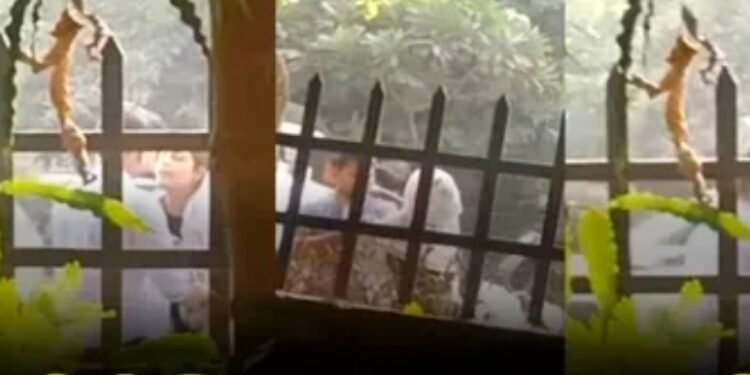 Viral Video : प्रेमी और प्रेमिका का वीडियो हुआ वायरल, सड़क पर सरेआम कर रहे थे ये काम, देखकर दंग रह गए लोग