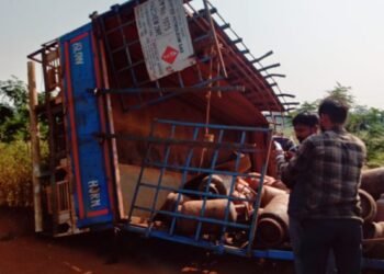CG Road Accident : सिलेंडर से भरा ट्रक पलटा, हो सकता था बड़ा दुर्घटना मची अफरा तफरी ग्रामीणों ने कहा …