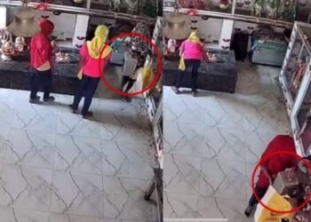 CG News : अजब चोर की गजब कहानी; मंदिर से दानपेटी चोरी, कर भगवान का लिया आशीर्वाद फिर हुए फरार देखे पूरा वीडियो