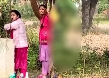 CG Viral Video : महिला शिक्षकों ने 4 साल के बच्चे को दी खौफनाक सजा, पहले उतरवाए पूरे कपड़े, फिर लटका दिया पेड़ में, देखे पूरा वीडियो