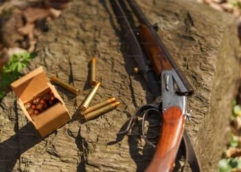 Korba Breaking : देशी कट्टा और 20 जिंदा कारतूस के साथ होटल में पकड़ाया बदमाश, आखिर किस वारदात की थी तैयारी, पुलिस ने तेज की जांच