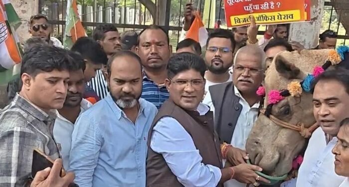 CG Politics : कांग्रेस का अनोखा प्रदर्शन, ऊंट को जीरा खिलाकर बीजेपी सरकार को घेरा, 200 यूनिट छूट को लेकर कह दी ये बड़ी बात