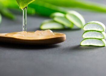 Aloe Vera Face Mask : ठंड के मौसम में चेहरे की ड्राईनेस दूर करेंगे ये 4 एलोवेरा फेस मास्क, स्किन बनेगी ग्लोइंग