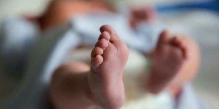 CG News : महिला ने शौचालय में दिया बच्चे को जन्म मेडिकल कॉलेज अस्पताल में कराया गया भर्ती नवजात की स्थिति गंभीर