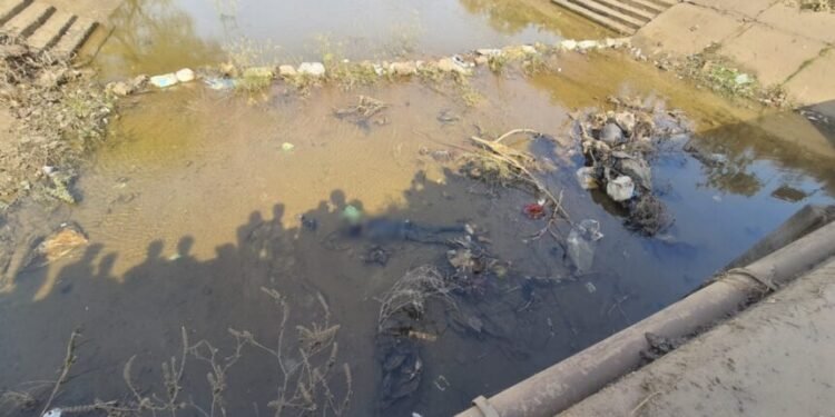 CG News : नहर में अज्ञात युवक की लाश मिलने से फैली सनसनी हादसा आत्महत्या या कुछ और