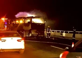 Bus Accident : मदीना जा रहे 42 भारतीय जिंदा जले, कांप उठी देखने वालों की रूह जब डीजल टैंकर और बस के बीच हुई जोरदार टक्कर