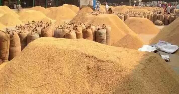 Dhan Bonus Latest News : किसानों को मिलेगा धान का बोनस, इस बार खाते में एक साथ आएगी रकम, खुद खाद्य मंत्री ने दी जानकारी