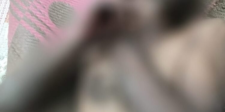 CG Crime News : कलयुगी बेटे ने पिता को हंसिया से काटा इलाज के दौरान हुई मौत