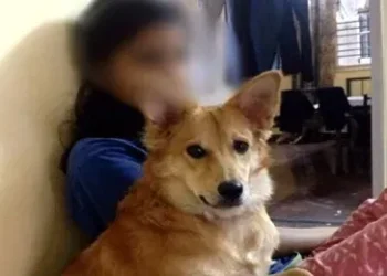 Viral Video : ‘आत्मसंतुष्टि के लिए कुत्ता के साथ ऐसा काम करतीं हैं महिलाएं’ ये क्या बोल गए भाजपा विधायक, वायरल हो रहा वीडियो