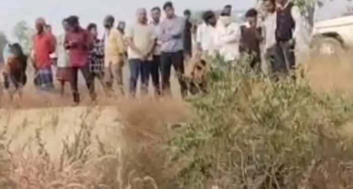 Korba Crime : खेत में मिली अधजली लाश मिलने से मचा हड़कंप, हत्या के बाद लाश ठिकाने लगाने की आशंका, जांच में जुटी पुलिस