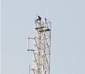 CG News : शराब, झगड़ा और टावर – पति का हाई वोल्टेज ड्रामा, 200 फीट ऊपर से पत्नी को बुलाने लगा, देखें पुरा वीडियो