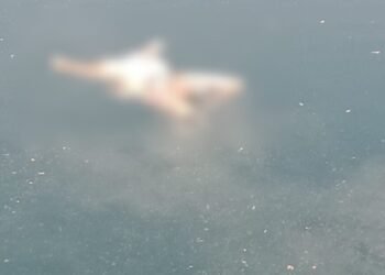 CG Crime News : खदान में मिली सिर कटी लाश मचा हड़कंप, पुलिस जांच में जुटी