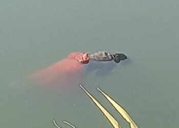 CG Breaking : महानदी में तैरती मिली महिला की लाश, इलाके में फैली सनसनी