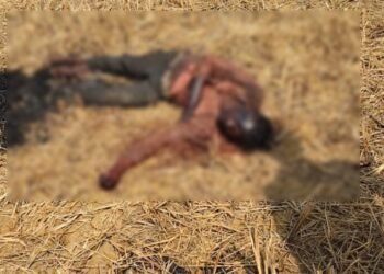 CG Crime : युवक की हत्या कर जलाई लाश, इलाके में दहशत का माहौल