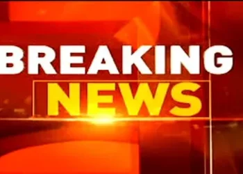 खुलेआम टैक्सी पर गौमांस बेच रही थी महिला, बजरंग दल कार्यकर्ताओं ने रंगे हाथों पकड़ा, अब पहुंची सलाखों के पीछे