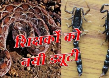 Teacher News : सांप-बिच्छू से लेकर आवारा जानवरों तक, दुर्घटना पर होगी शिक्षकों की जिम्मेदारी, जारी हुआ नया आदेश