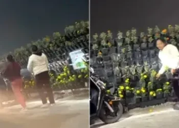 Viral Video : पीएम मोदी के जाते ही गमला चोरी करने लगी भीड़, देखते ही देखते उजड़ गया पूरा सभा स्थल, सोशल मीडिया पर वायरल हुआ वीडियो