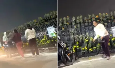 Viral Video : पीएम मोदी के जाते ही गमला चोरी करने लगी भीड़, देखते ही देखते उजड़ गया पूरा सभा स्थल, सोशल मीडिया पर वायरल हुआ वीडियो