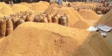 CG News : साय सरकार ने लिया बड़ा फैसला धान बेचने के लिए अब नहीं मिलेगा ऑनलाइन टोकन, अब यहां से बिक्री की तारीख लेंगे किसान