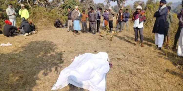 CG Crime : जंगल में मिला बुजुर्ग का गर्दन कटा हुआ शव, फैली सनसनी, कुल्हाड़ी बरामद