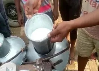 Milk Price : आम जनता को मिली महंगाई से राहत, कम हुए दूध के दाम, क्या है नए रेट जानें यहां