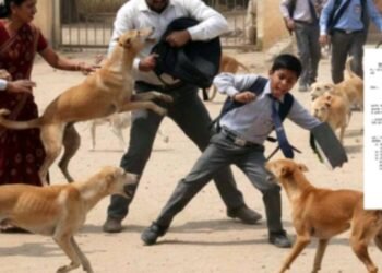 CG Breaking : जिला प्रशासन को शिक्षा विभाग ने भेजा त्राहिमाम पत्र, लिखा, शिक्षकों – छात्रों को कुत्तों से बचाईये