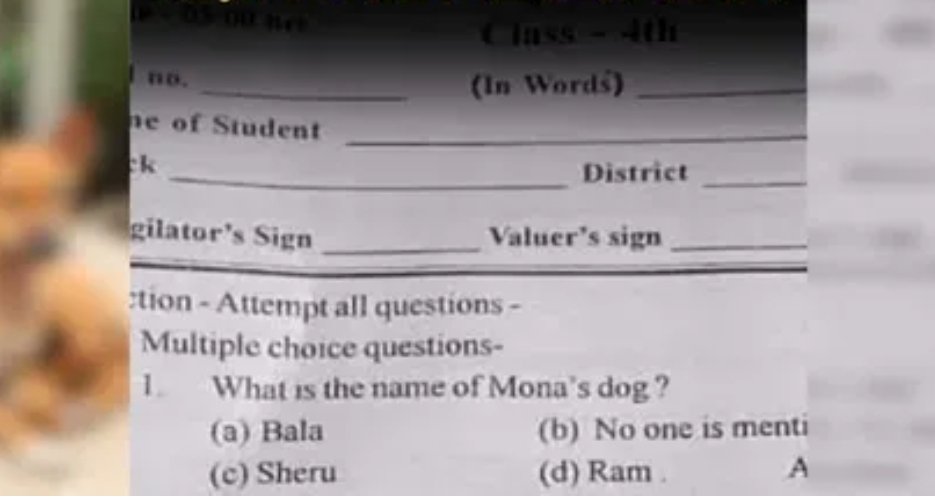 CG News : मोना के कुत्ते का नाम शेरू या राम? पूछने वाली टीचर को निकाला जाएगा नौकरी से, स्पष्टीकरण देकर बताया क्यों हुई ऐसी गलती
